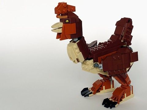 Chicken (C.rex)