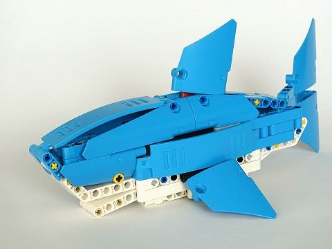 Modrý žralok
