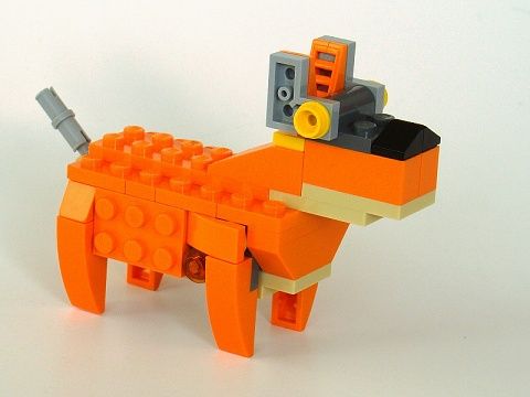 Oranžový psík